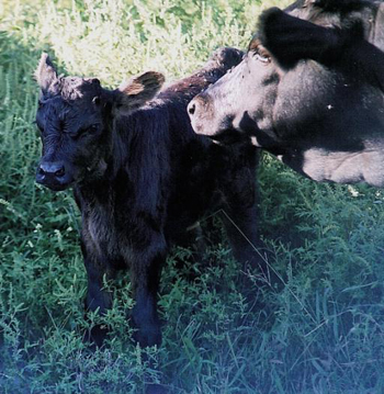 Proud mama, Tonya, showing off Tinker