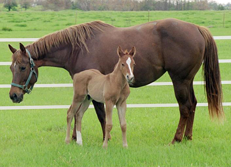 Chelsea and Ollie - May, 2007