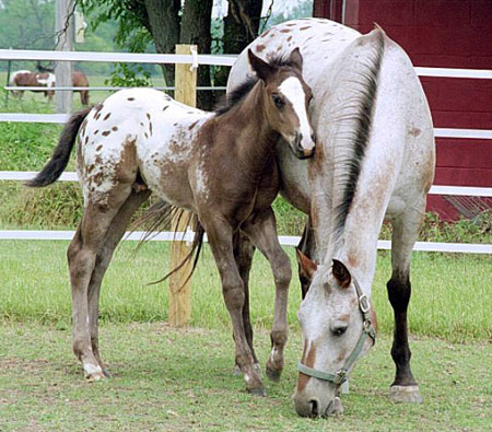 Libby and Cheney - May, 2007